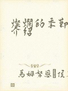 灿烂的季节剧情介绍