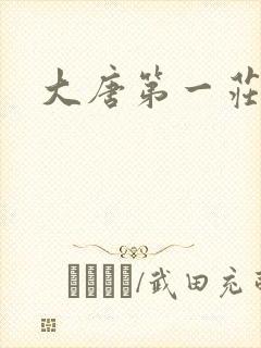 大唐第一庄