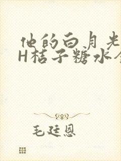 他的白月光HVH桔子糖水全文