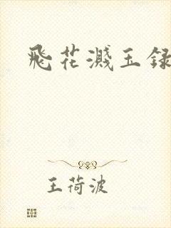 飞花溅玉录