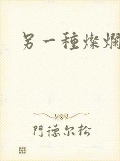 另一种灿烂生活