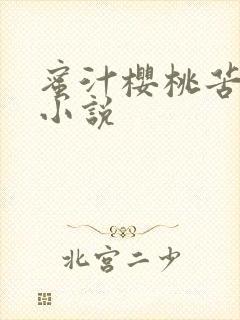 蜜汁樱桃苦咖啡小说