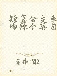 短篇公交车高h肉辣全集目录