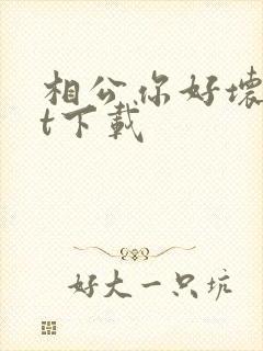 相公你好坏txt下载