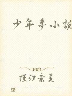 少年梦小说