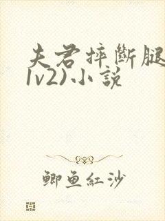 夫君摔断腿后(1v2)小说