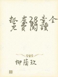 抓灰28章全部免费阅读