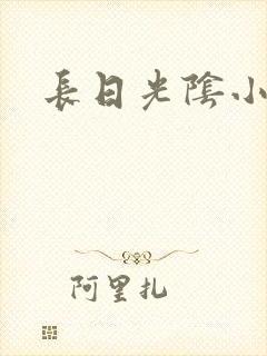 长日光阴小说