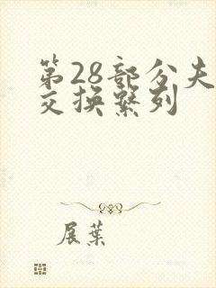 第28部分夫妇交换系列