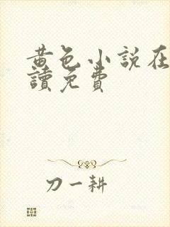 黄色小说在线阅读免费