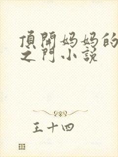 顶开妈妈的生命之门小说