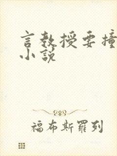 言教授要撞坏了小说