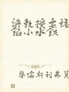 梁教授要稳住肉馅小水饺