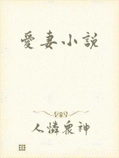 爱妻小说