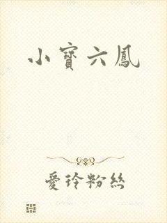 小宝六凤