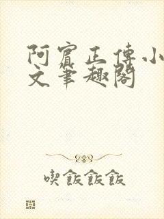 阿宾正传小说全文笔趣阁