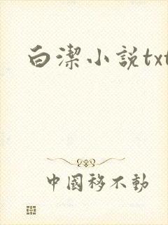 白洁小说txt