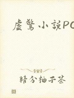 虚惊小说PO