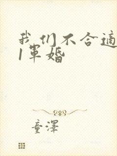 我们不合适1v1军婚