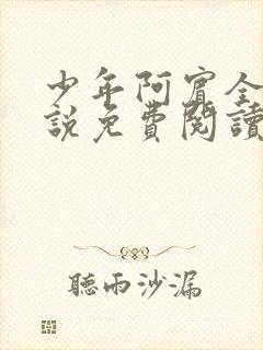 少年阿宾全文小说免费阅读笔趣阁