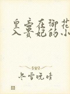 皇帝在御花园进入贵妃的小说