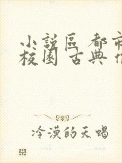 小说区 都市 校园 古典 偷拍