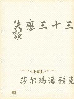 失恋三十三天小说