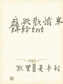 瘾欲欢愉半块小饼干tnt