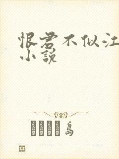 恨君不似江楼月小说