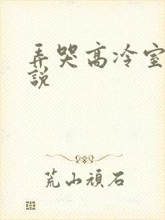 弄哭高冷室友小说