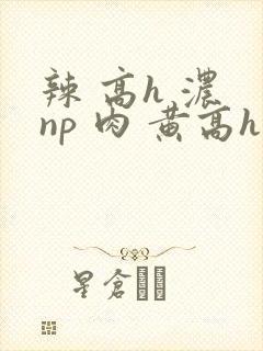 辣 高h 浓 np 肉 黄高h