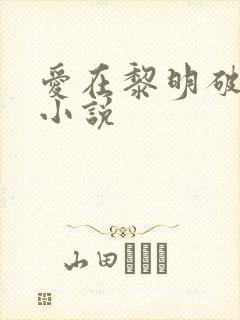 爱在黎明破晓前小说