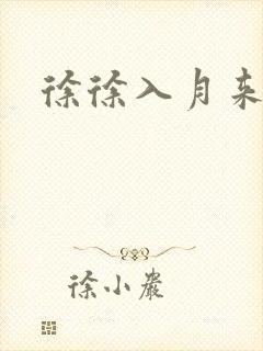 徐徐入月来