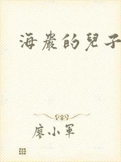 海岩的儿子