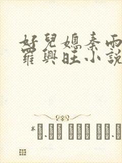 好儿媳秦雨罗明罗兴旺小说