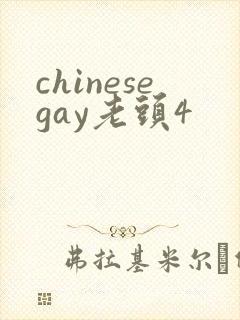 chinesegay老头4