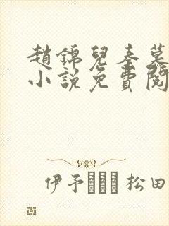 赵锦儿秦慕修的小说免费阅读全文