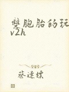 双胞胎的玩具1v2h