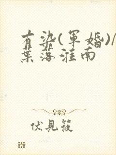 有染(军婚)/叶落淮南