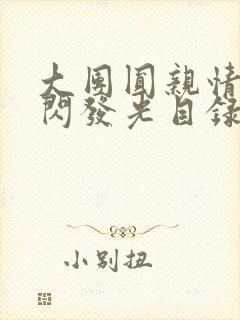 大团圆亲情会闪闪发光目录