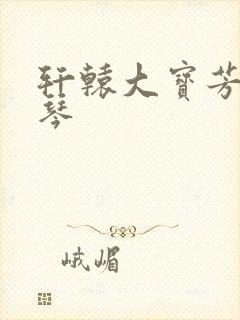 轩辕大宝芳菲雅琴