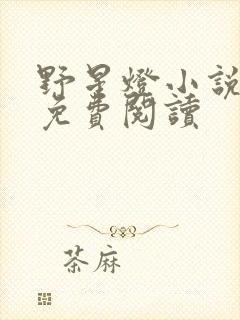 野星灯小说全文免费阅读