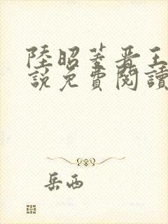 陆昭菱晋王的小说免费阅读