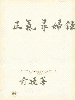 正气寻妇录
