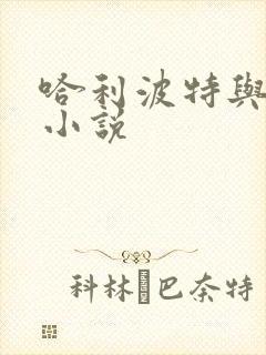 哈利波特与密室小说