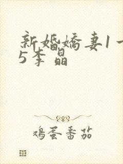 新婚娇妻1一25李晶