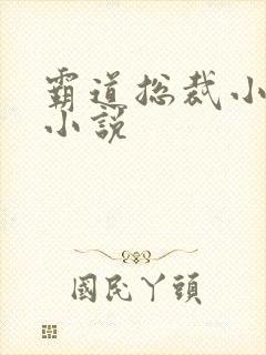 霸道总裁小娇妻小说