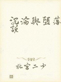 沉沦与堕落的小说