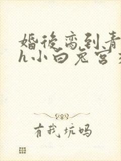 婚后脔到青梅哭h小白兔宫交h