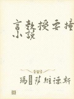 言教授要撞坏了小说